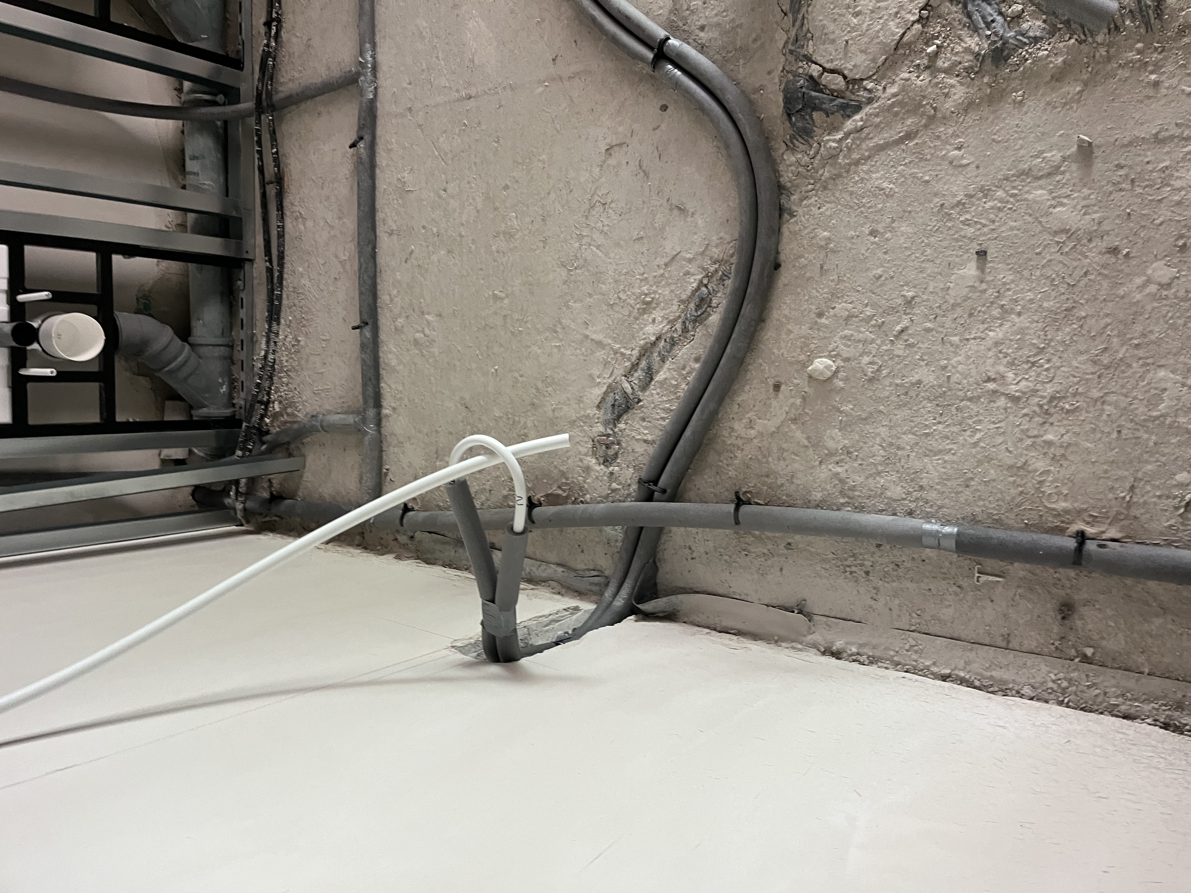 IMG_7212.JPG